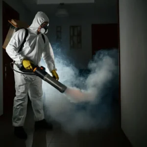 شركة رش مبيدات بالرياض