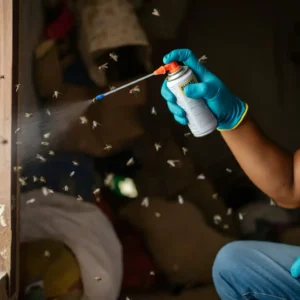 شركة رش مبيدات بالرياض