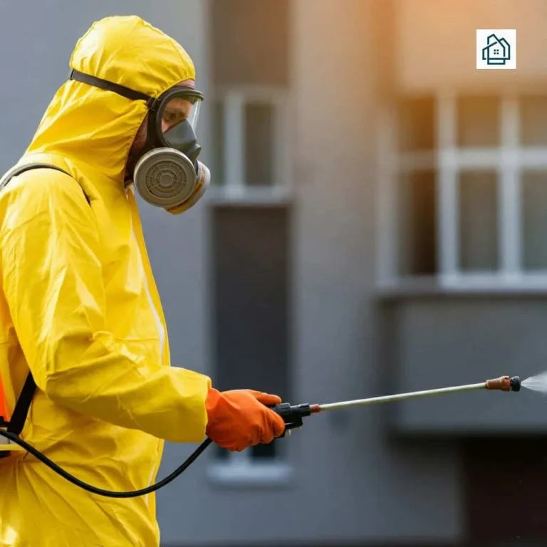 أفضل شركة مكافحة حشرات بخمبس مشيط